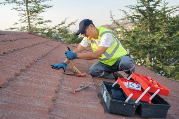 Best Roof Gutter Cleaning  in North Charleston, SC